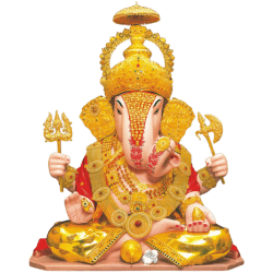 Traditional Marriage Biodata Auspicious Motif